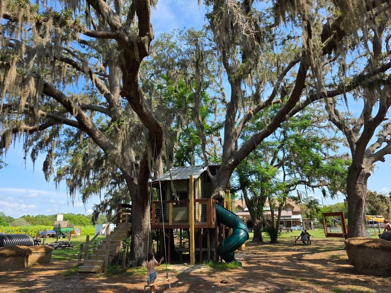 The Farm's Friendly Staff and Welcoming Atmosphere