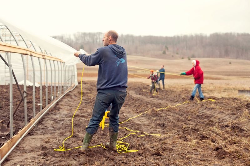 Community Roots: The Blue Plate Project and Giving Back