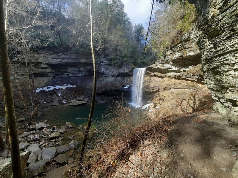 Wildlife, Nature, and the Landscape Around the Falls