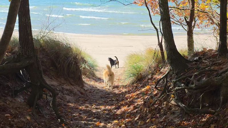 Tips for Getting the Most Out of Your Visit