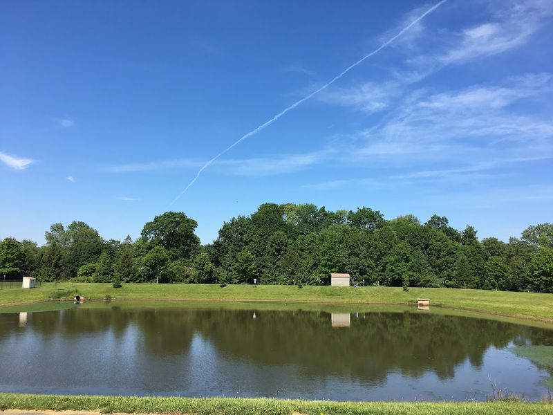 A Fishing Pond That Offers a Quieter Corner