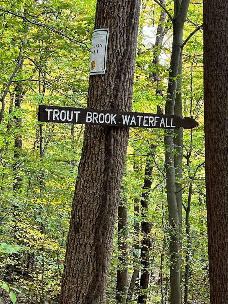 Planning Your Visit: Practical Tips Before You Go