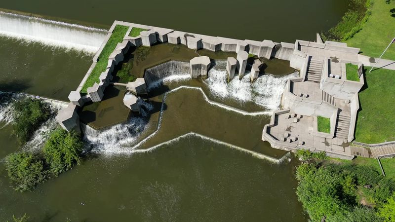 The Wildlife That Calls This Park Home