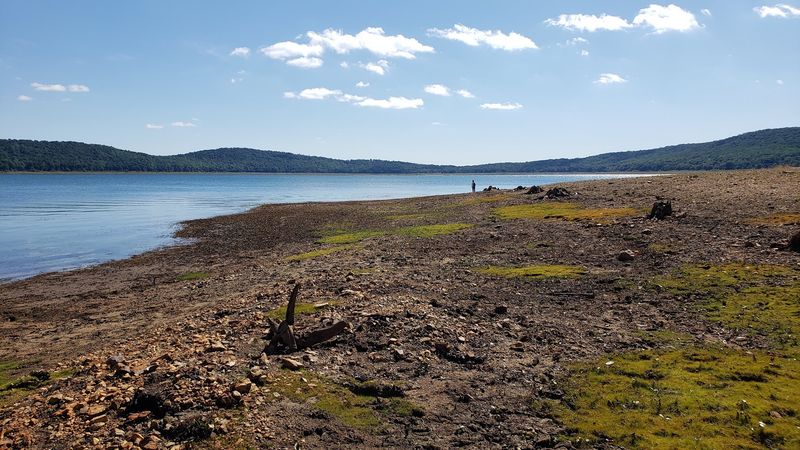 Amenities Vary By Area