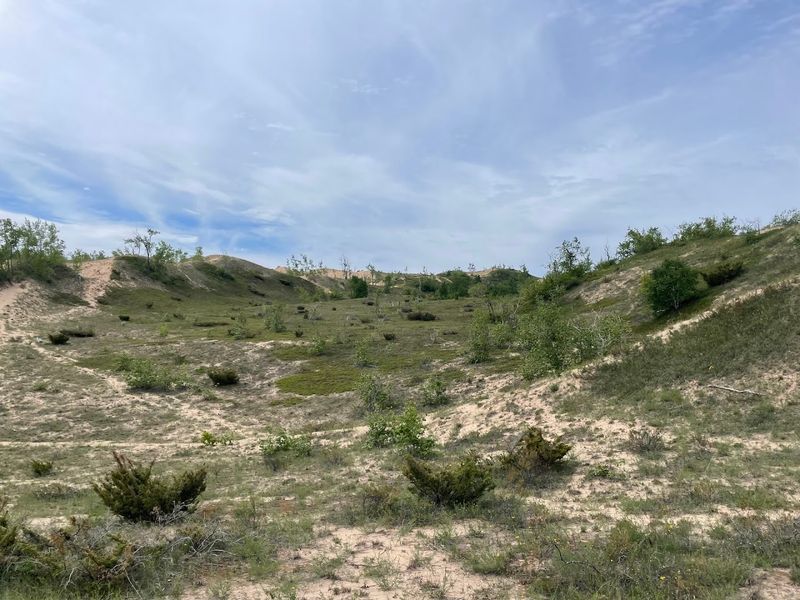 The Surprising Wildlife Along the Way