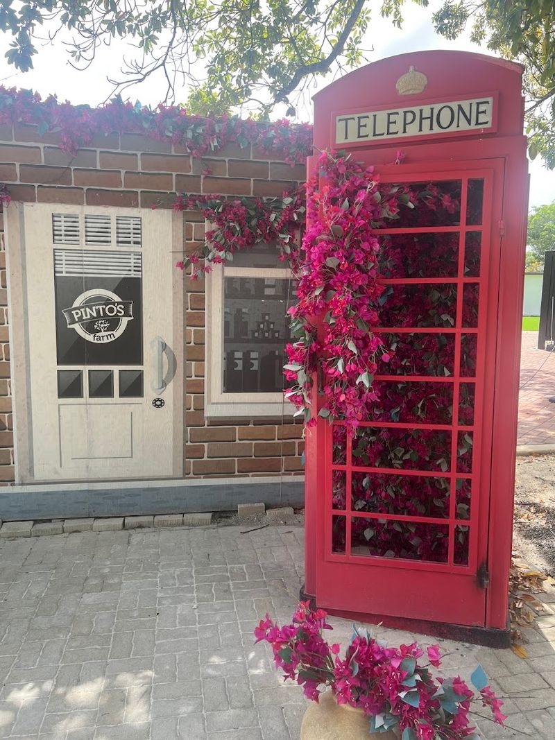 Photo Opportunities Around Every Corner