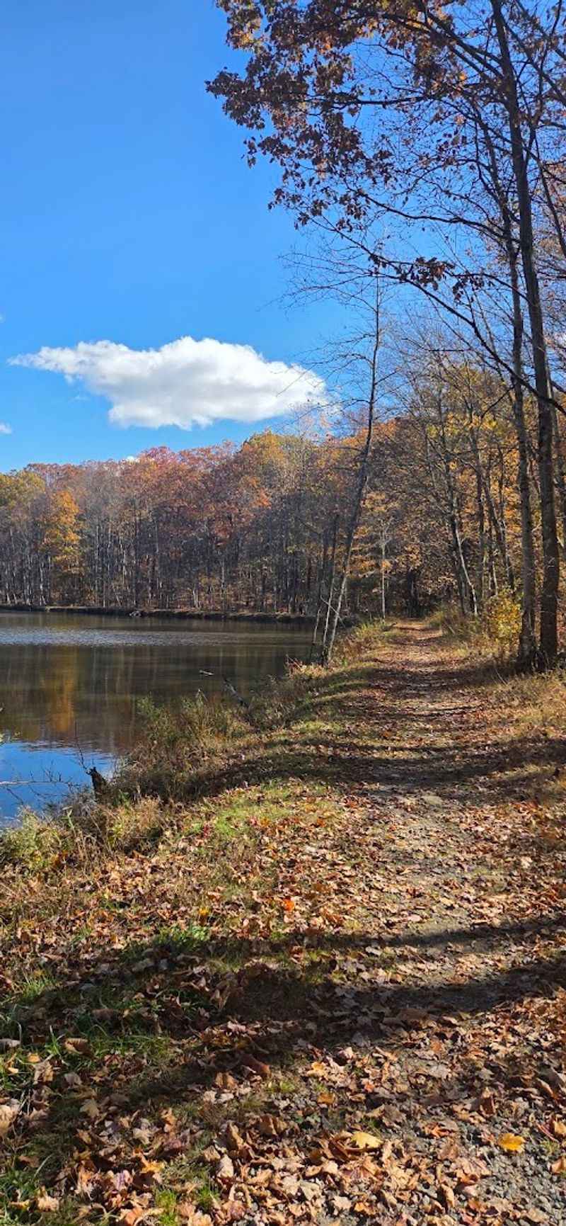 Walking and Biking Trails That Wind Through the Property
