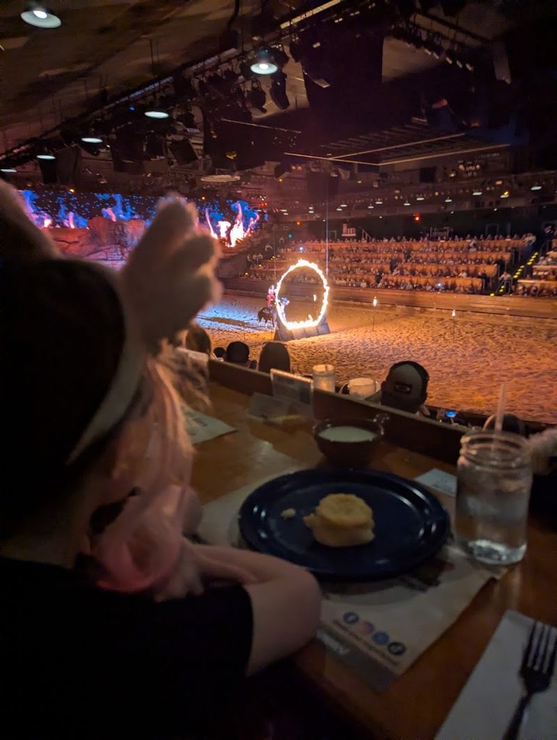 Dolly Parton's Stampede, Pigeon Forge and Branson