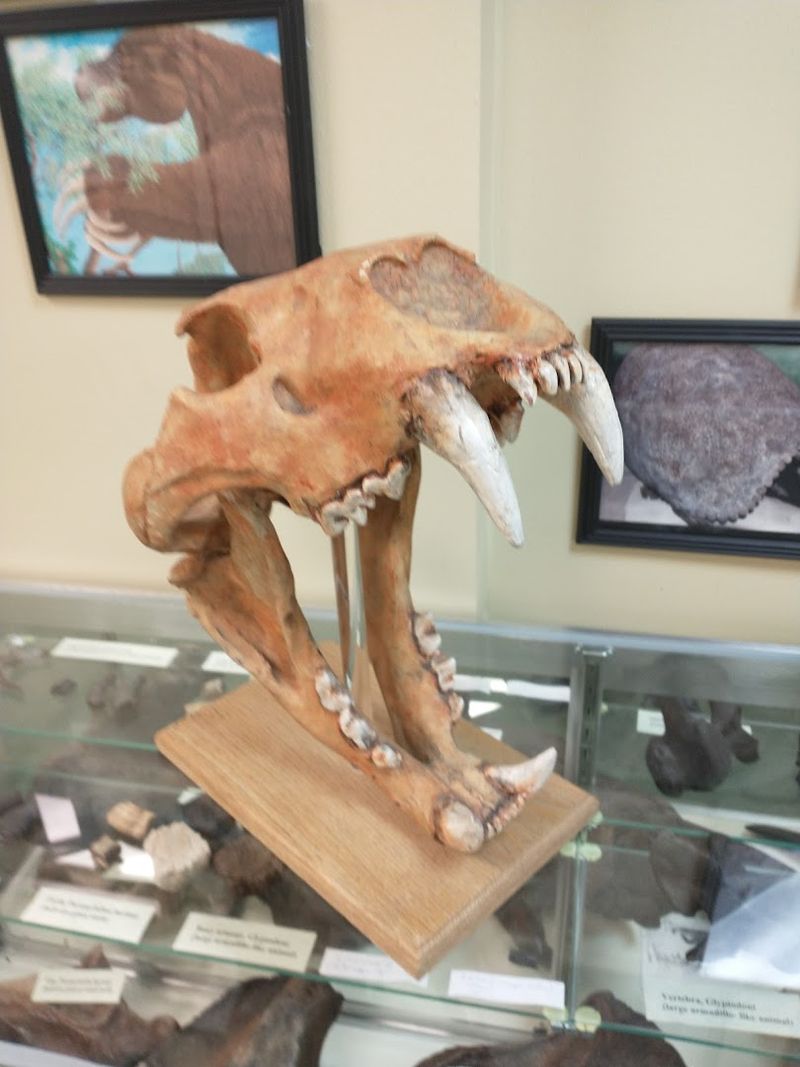 Why a Small Museum in a Small Town Still Matters