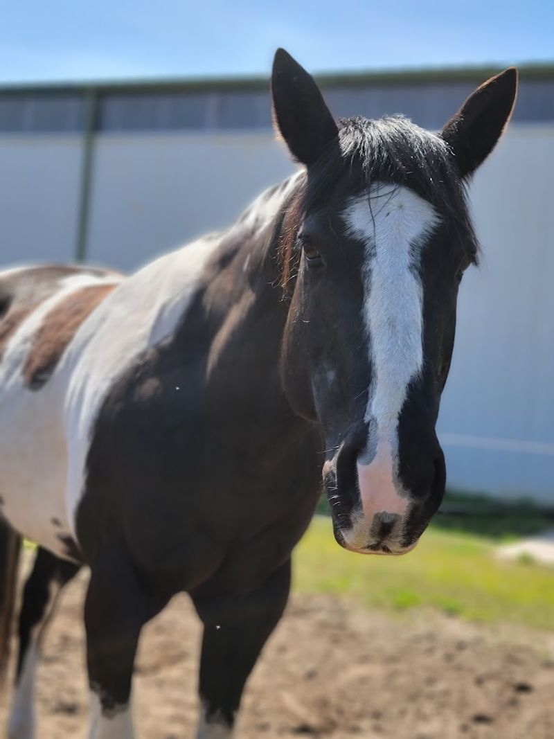 Why This Ranch Stays With You Long After You Leave
