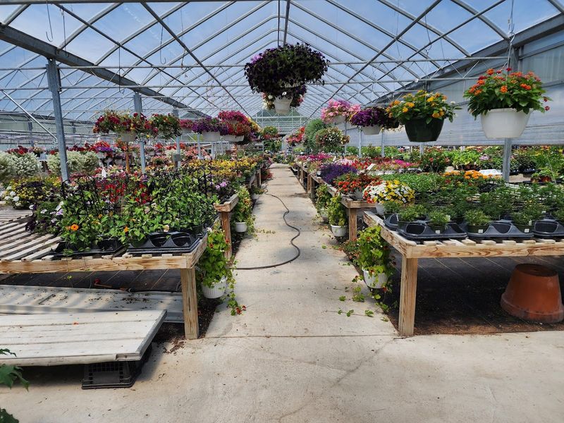 Practical Tips for Getting the Most Out of Your Visit