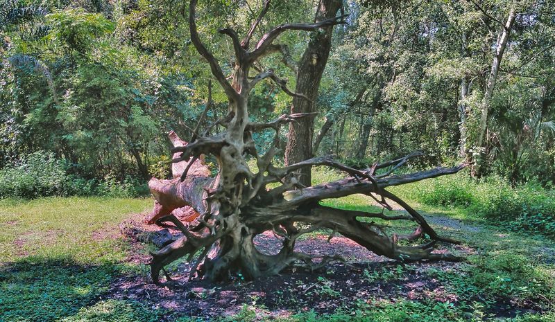 Bird Watching and Wildlife Spotting