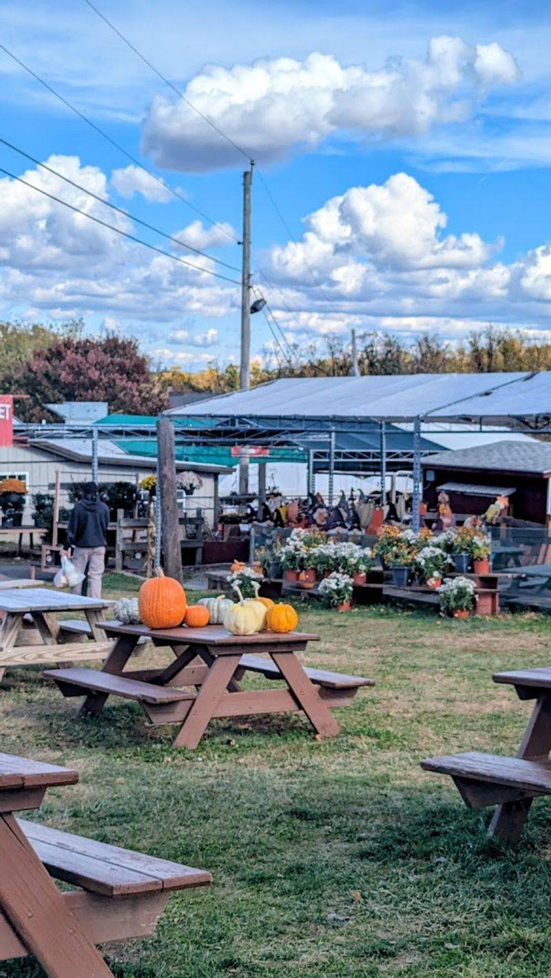 Planning Your Visit and What to Expect