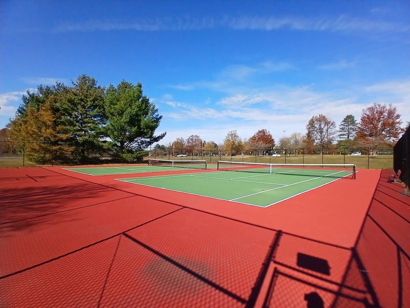 Sports Fields That Keep the Competition Going