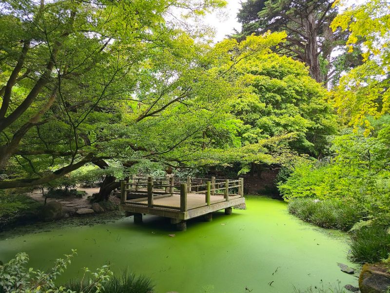 Golden Gate Park’s Hidden Meadows, San Francisco – Away from the Crowds