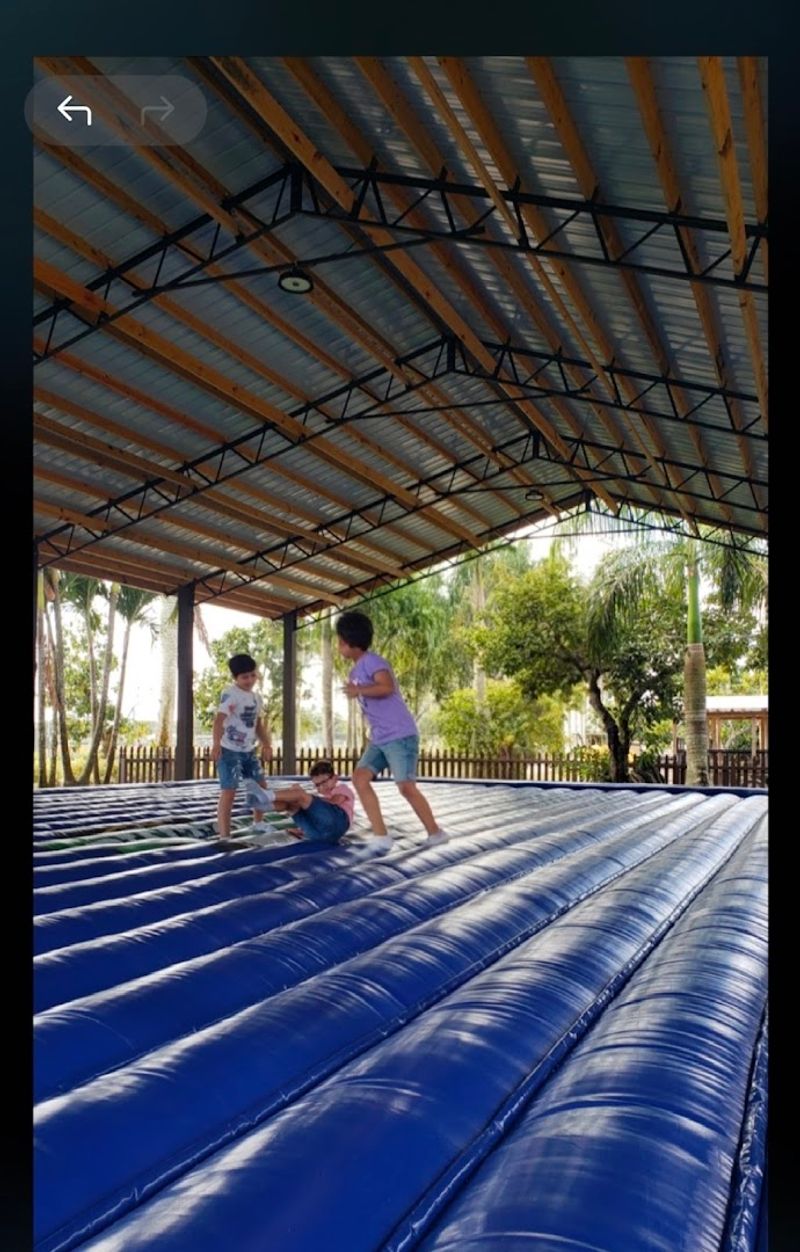 The Bounce Pad and Lawn Games for All Ages