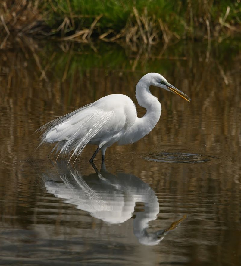 Why Photographers Keep Coming Back