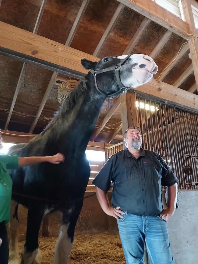 Why This Farm Deserves a Spot on Your Florida Itinerary