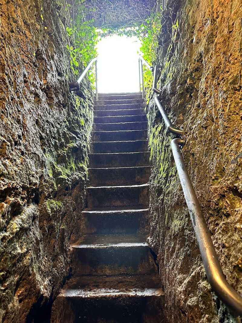 Why This Place Stands Apart From Other Florida Springs