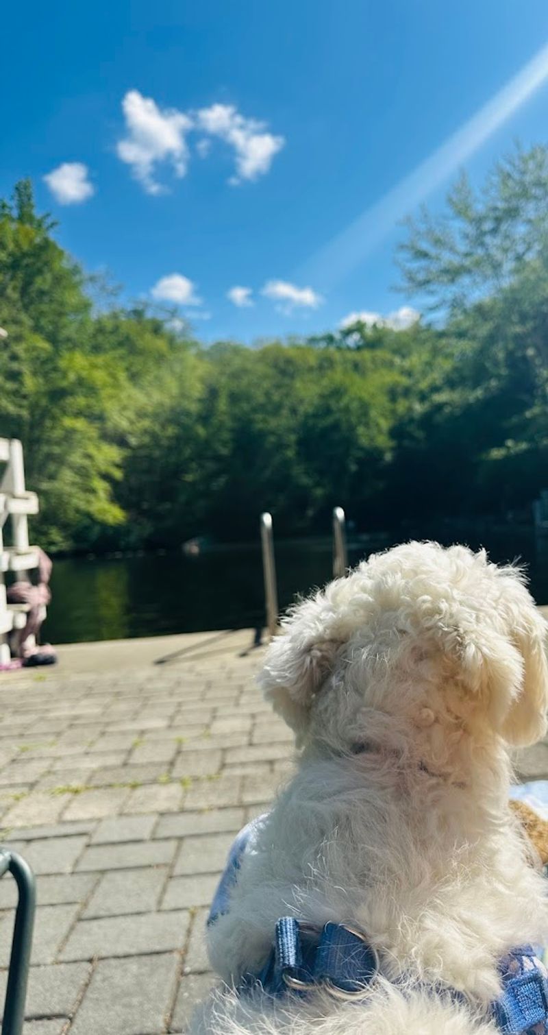 The Pet Policy That Sets It Apart