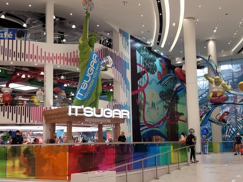 Food Options and What to Expect