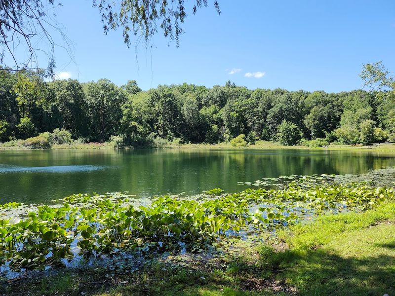 Why This Garden Stays With You Long After You Leave