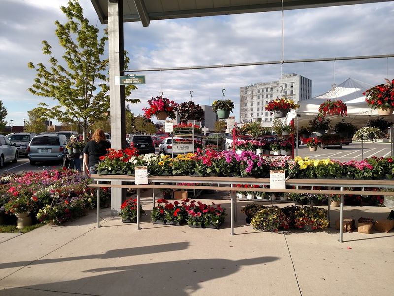 The Price Point That Surprises Out-of-Town Visitors