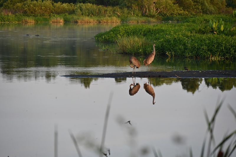 Photography at the Reserve: A Shooter's Dream