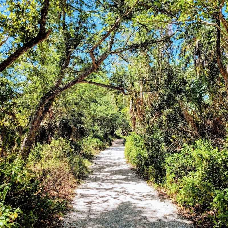 Why This Preserve Deserves a Spot on Your Cape Coral Itinerary