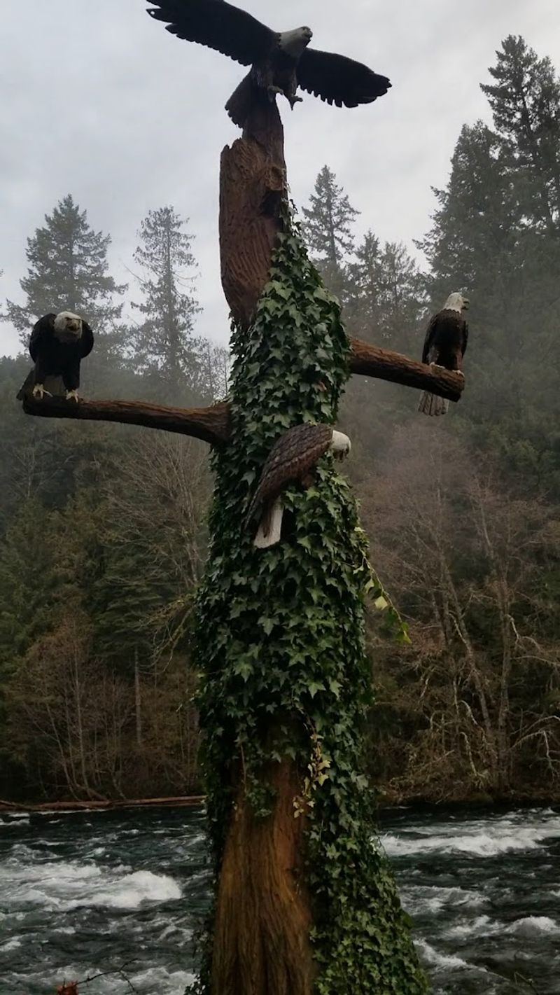 Why This Place Keeps People Coming Back