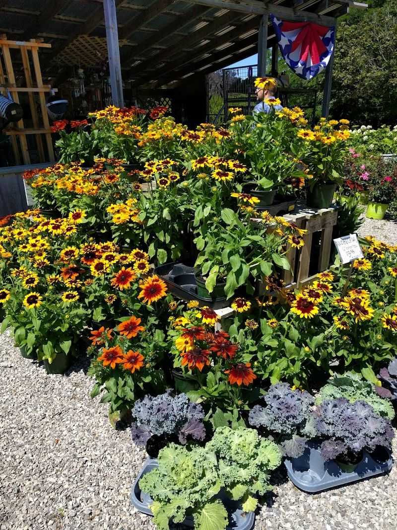 Why This Spot Keeps Pulling People Back Year After Year