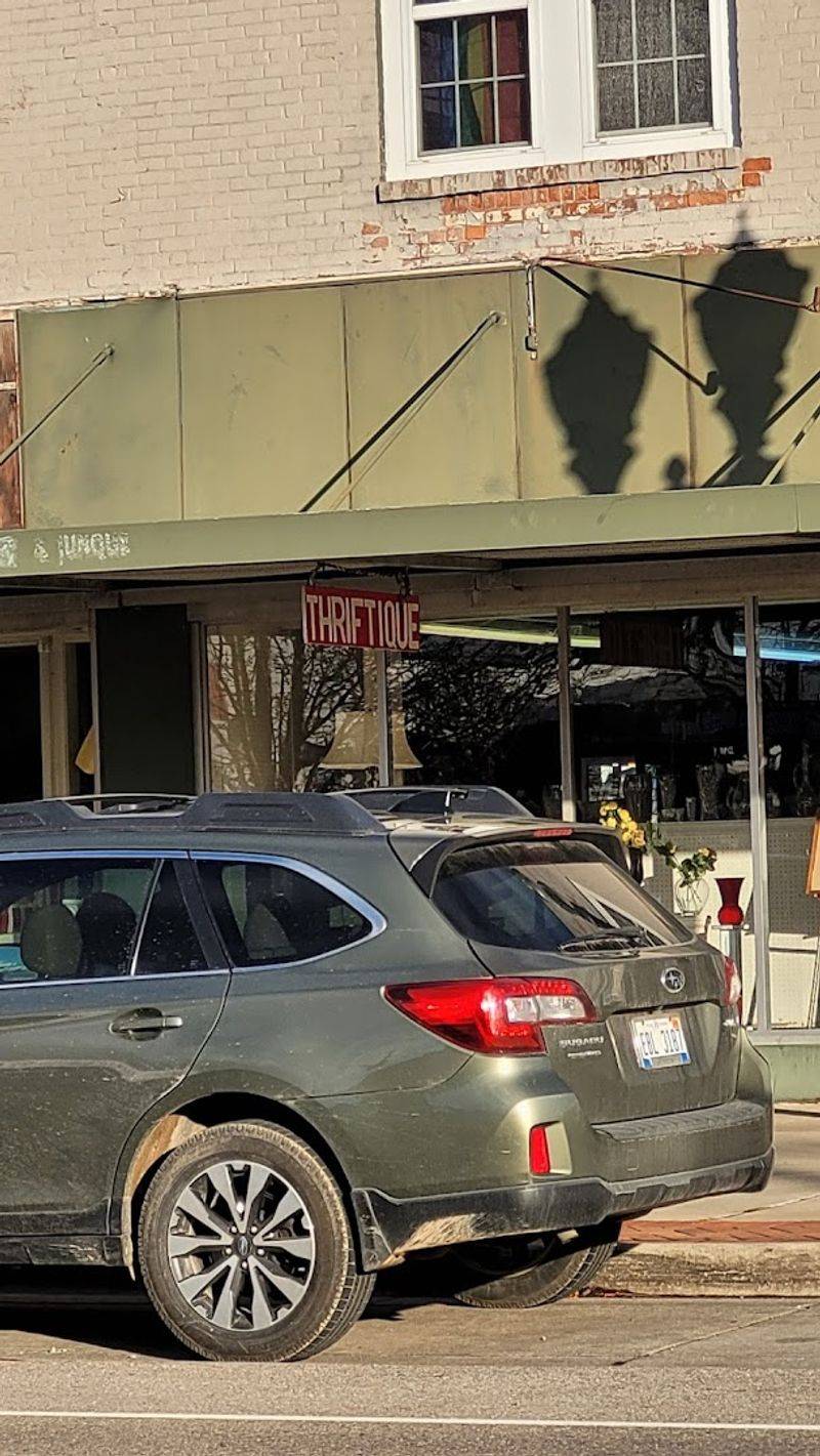 Why Thriftique Keeps Drawing Visitors from Outside Michigan