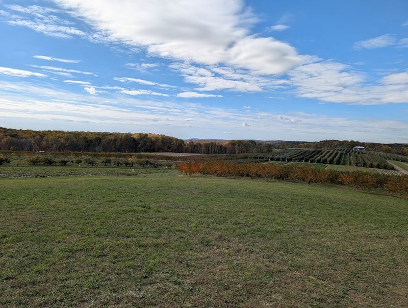 Why Families Keep Coming Back Season After Season