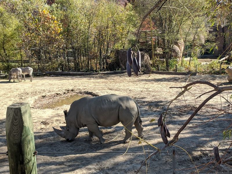 Why This Illinois Zoo Deserves Far More Attention