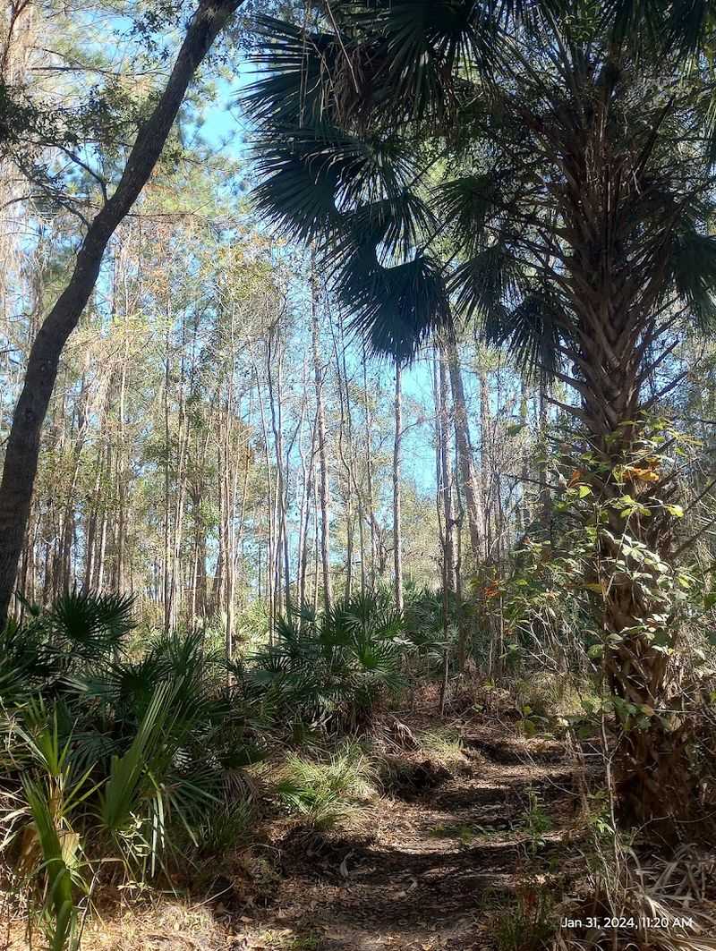 Why This Trailhead Deserves a Spot on Your Florida Hiking List