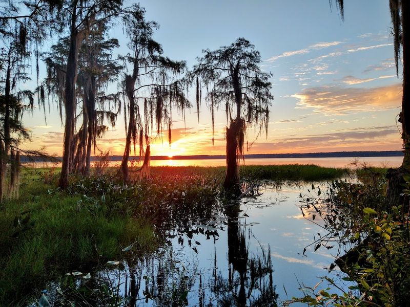 Why This Forest Stays With You Long After You Leave