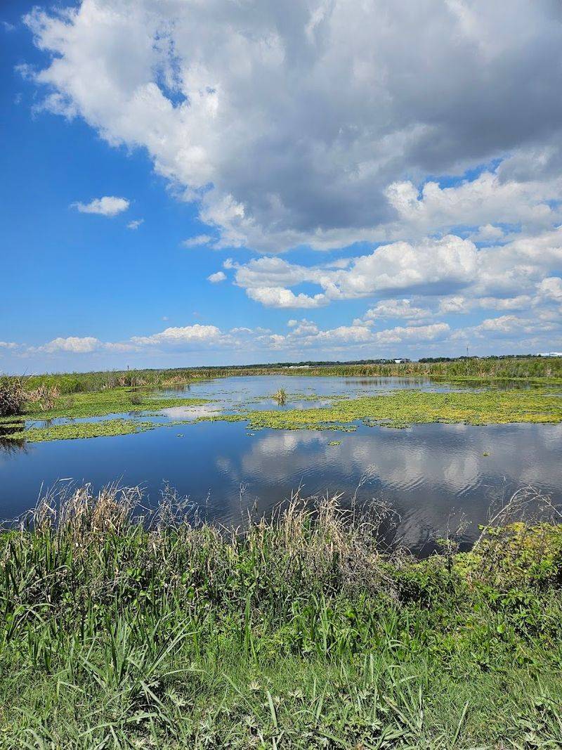 The History and Restoration of Lake Apopka