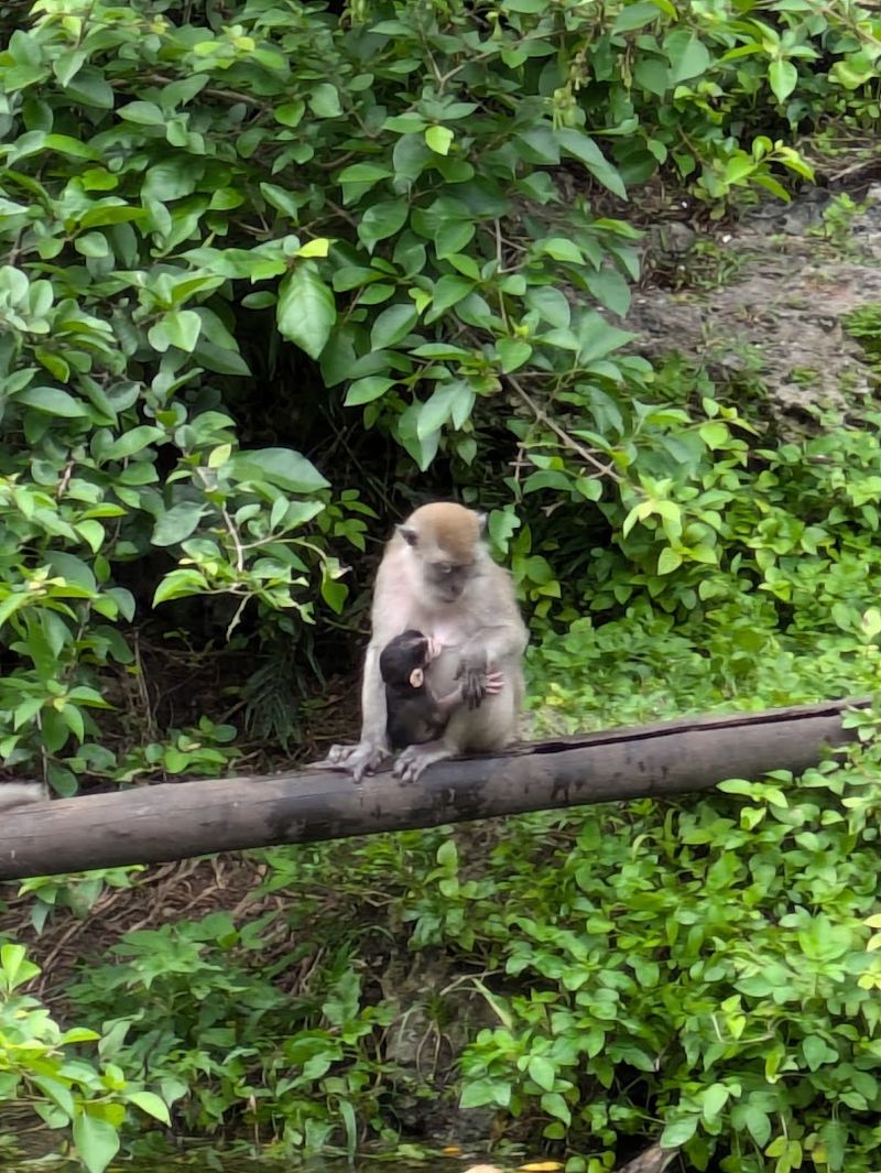 Why This Little Park Still Matters After All These Years