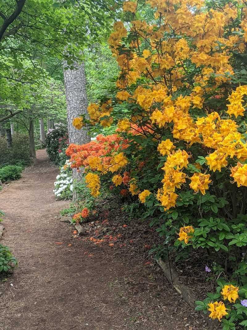 Fairy Homes, Troll Bridges, and Tiny Surprises Along the Trail