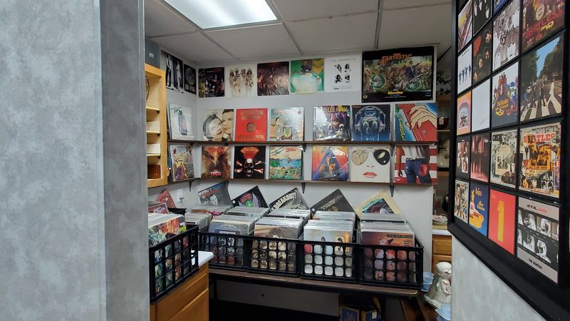 Vinyl Records, Retro Media, and the Section That Audiophiles Love