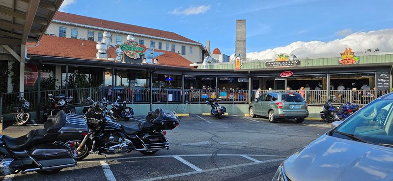 Planning Your Visit: Tips for Getting the Most Out of Dimitri's