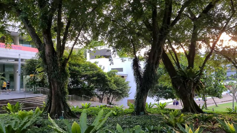 National University of Singapore (NUS), Singapore