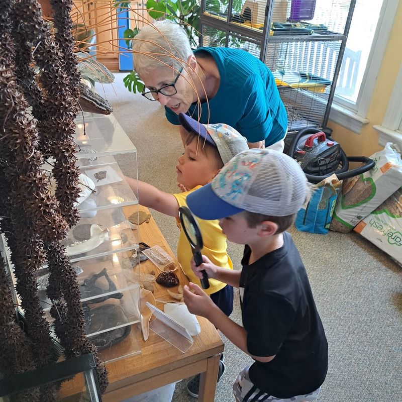 Summer Camp With a Serious Nature Focus