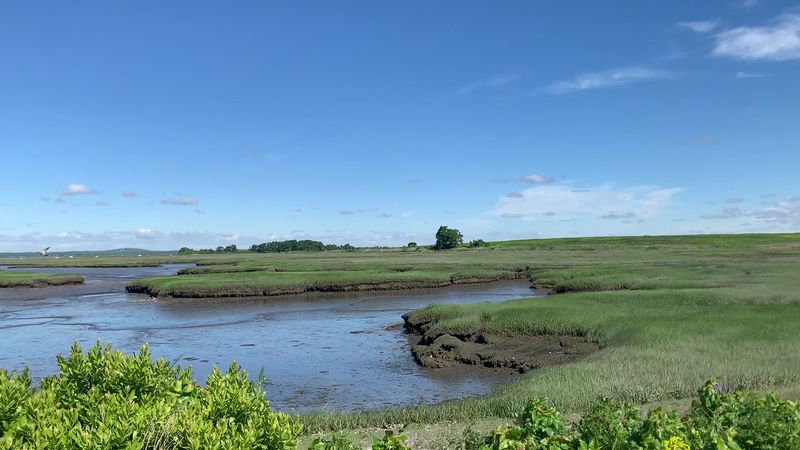 Parker River National Wildlife Refuge
