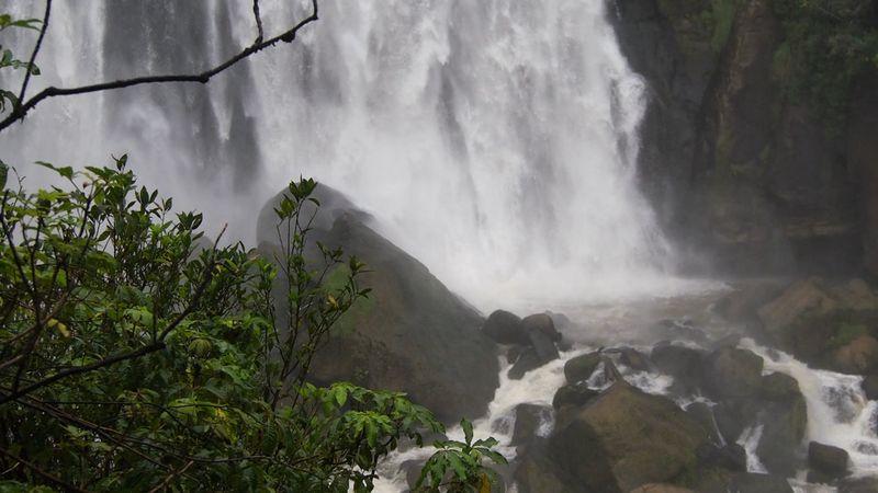 Waitomo Cave Waterfall Areas (New Zealand)