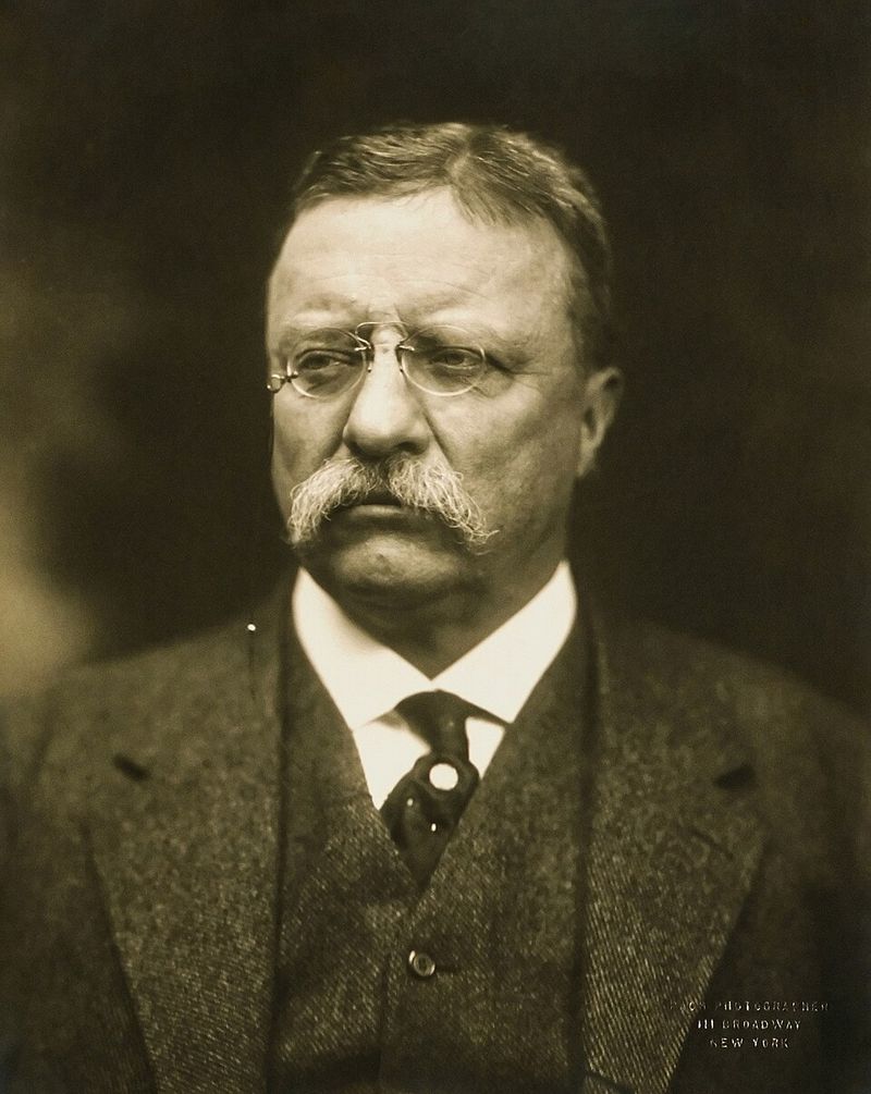 Theodore Roosevelt – Boxing and Outdoorsmanship