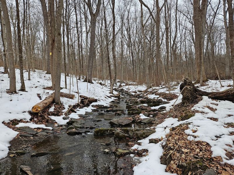 Seasonal Highlights Worth Planning Around