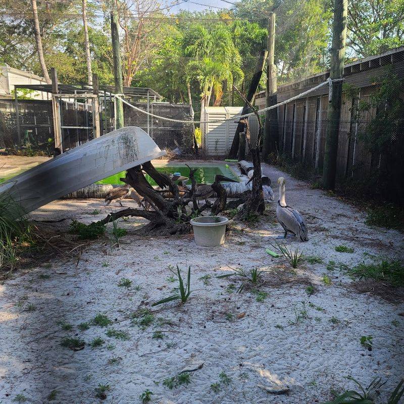 Birds of Every Kind Find Care Here