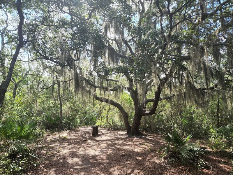 Historical Layers: What This Land Has Witnessed