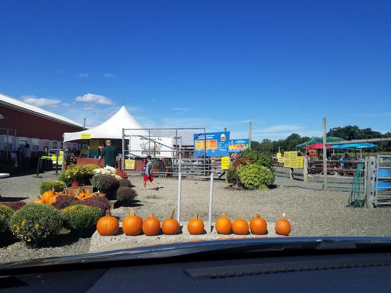 What to Know Before You Go